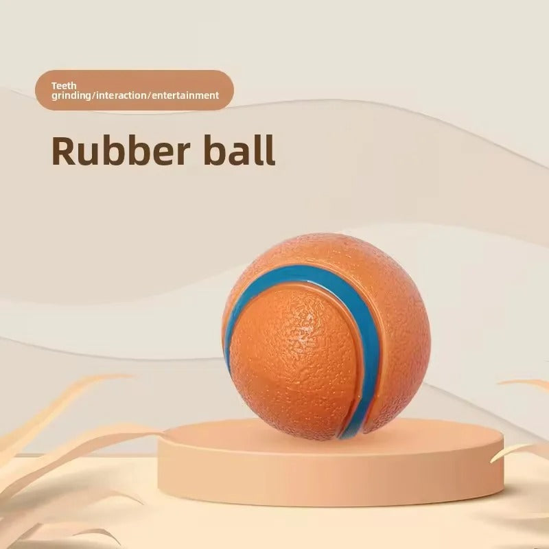 squeaky dog ball