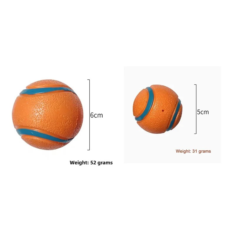 squeaky dog ball