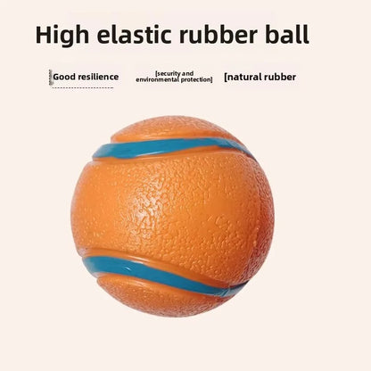 squeaky dog ball