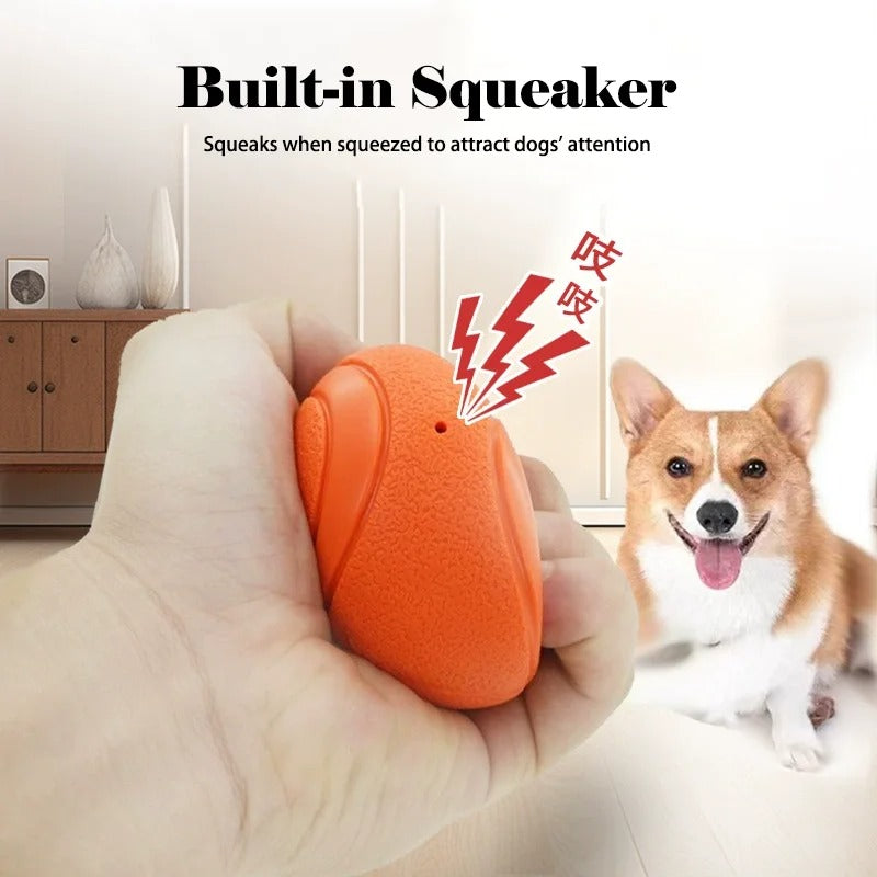 squeaky dog ball