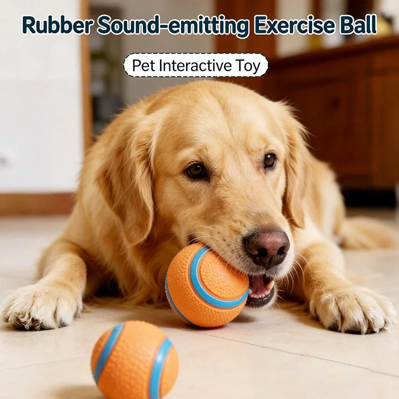 squeaky dog ball