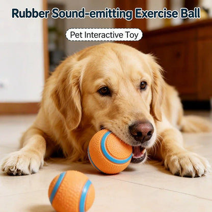 squeaky dog ball