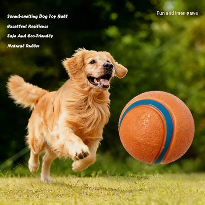 squeaky dog ball