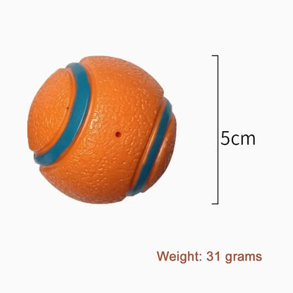 squeaky dog ball